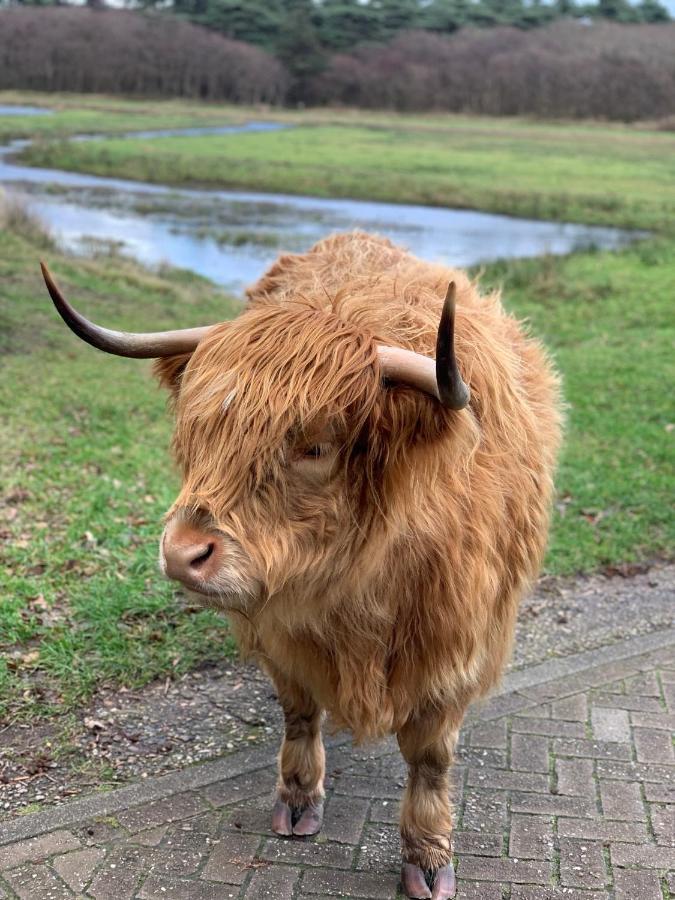 Casa Tx21 Accommodatie bij particulieren Den Burg